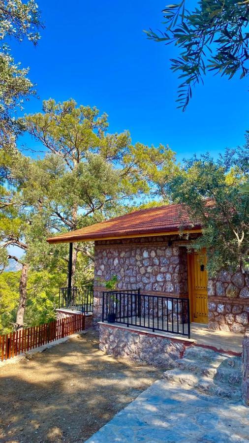 Candir Resort Restaurant Muğla Exterior foto